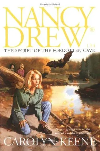 Cover of The Secret of the Forgotten Cave