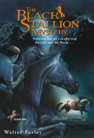Cover of The black stallion's Mystery