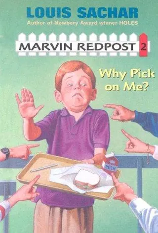 Cover of Why Pick on Me?