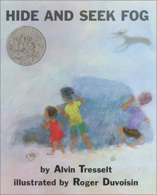 Cover of Hide and Seek Fog