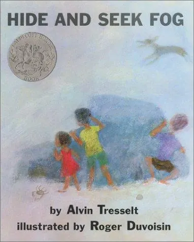 Cover of Hide and Seek Fog