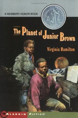 Cover of The planet of Junior Brown