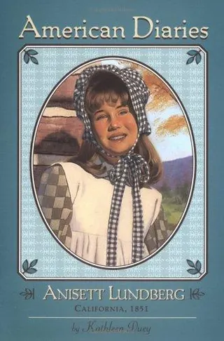 Cover of Anisett Lundberg