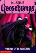Cover of Phantom of the Auditorium