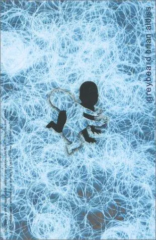 Cover of Greybeard