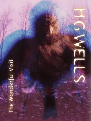 Cover of The wonderful visit