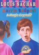 Cover of A Magic Crystal?