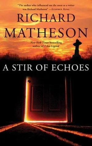 Cover of A stir of echoes