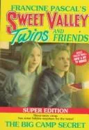 Cover of The big camp secret