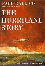 Cover of The Hurricane story