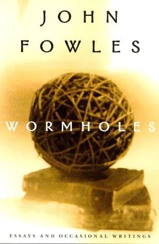 Cover of Wormholes