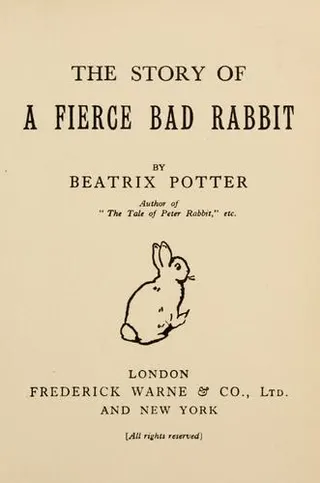 Cover of The story of a fierce bad rabbit