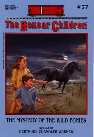 Cover of The Mystery of the Wild Ponies