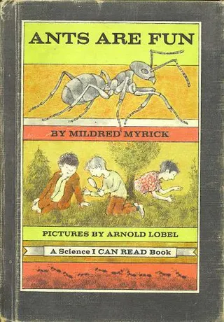 Cover of Ants are fun