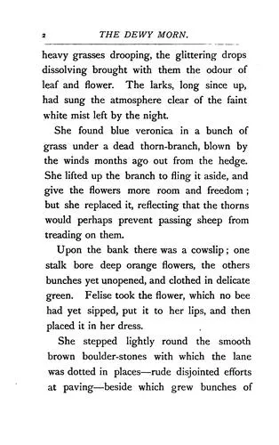 Cover of The Dewy Morn: A Novel