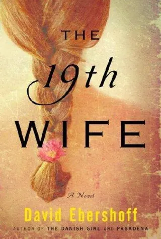 Cover of The 19th wife