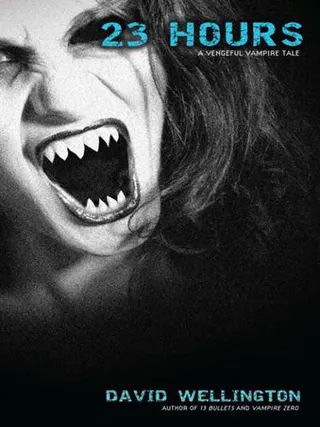 Cover of 23 hours