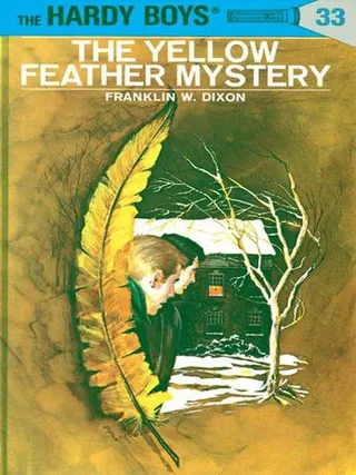Cover of The Yellow Feather Mystery