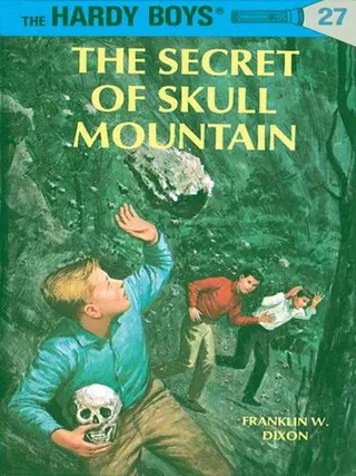 Cover of The Secret of Skull Mountain