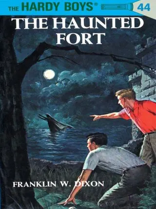 Cover of The Haunted Fort