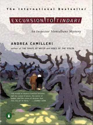 Cover of Excursion to Tindari
