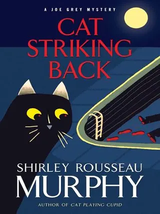 Cover of Cat Striking Back
