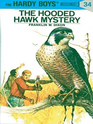 Cover of The Hooded Hawk Mystery