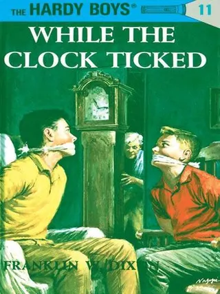 Cover of While the Clock Ticked
