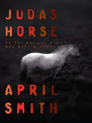 Cover of Judas Horse