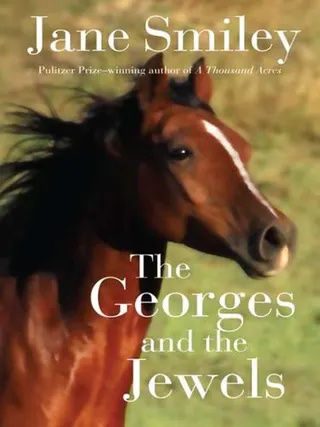 The Horses of Oak Valley Ranch series cover