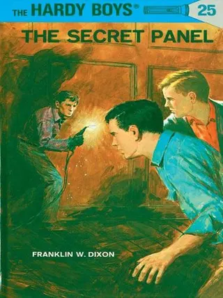 Cover of The Secret Panel