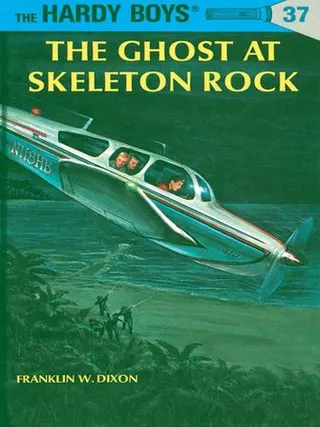 Cover of The Ghost at Skeleton Rock