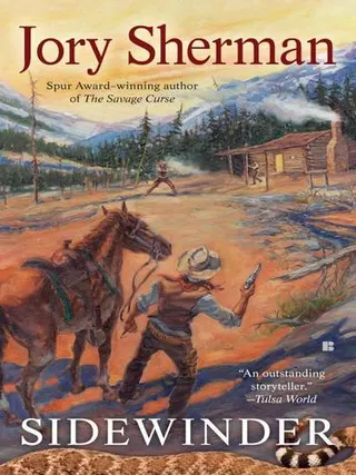Cover of Sidewinder
