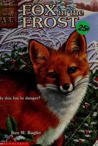 Cover of Fox in the frost