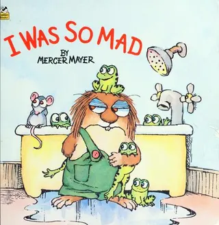 Cover of I Was So Mad