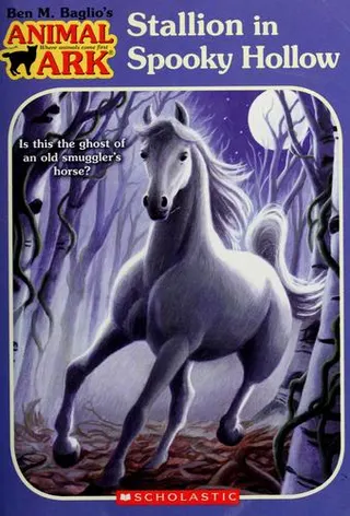 Cover of Stallion in Spooky Hollow