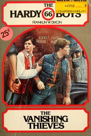 Cover of The Vanishing Thieves