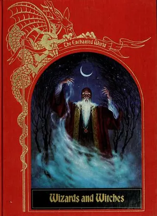 Cover of Wizards and Witches (Enchanted World)