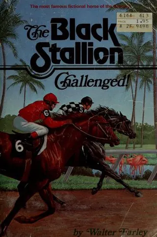 Cover of The Black Stallion Challenged