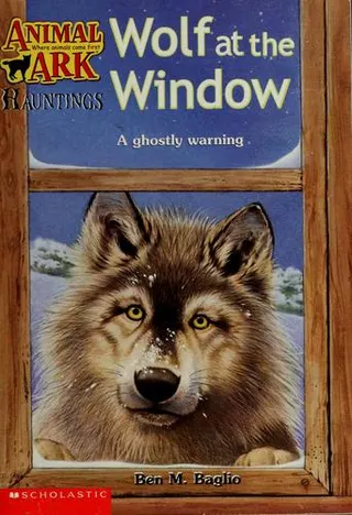 Cover of Wolf at the window