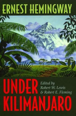 Cover of Under Kilimanjaro