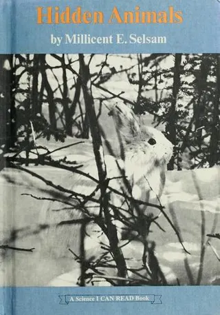 Cover of Hidden Animals