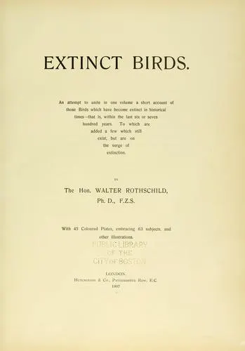 Cover of Extinct birds