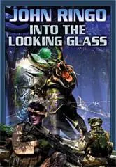 Cover of Into the Looking Glass