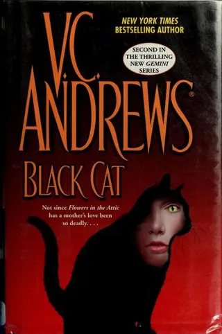 Cover of Black cat