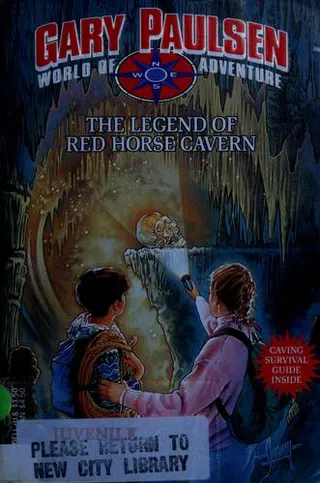 World of Adventure series cover