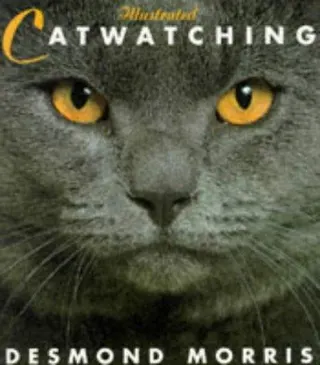 Cover of Illustrated Catwatching