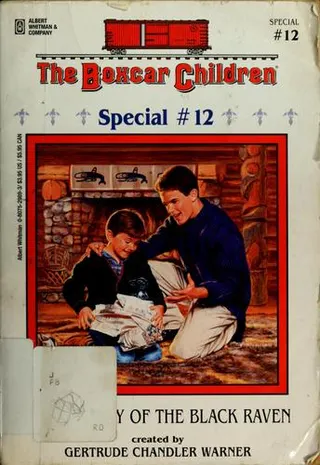 Cover of The Mystery of the Black Raven