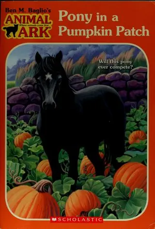 Cover of Pony in a pumpkin patch