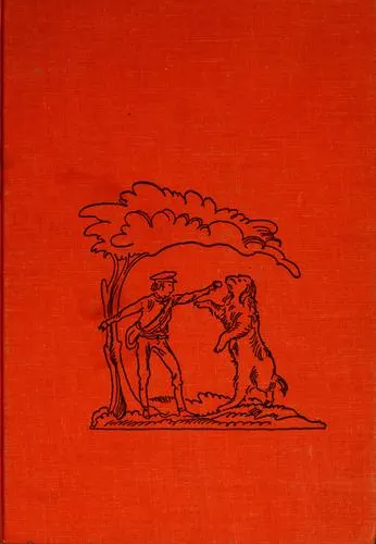 Cover of The brave adventures of Lapitch